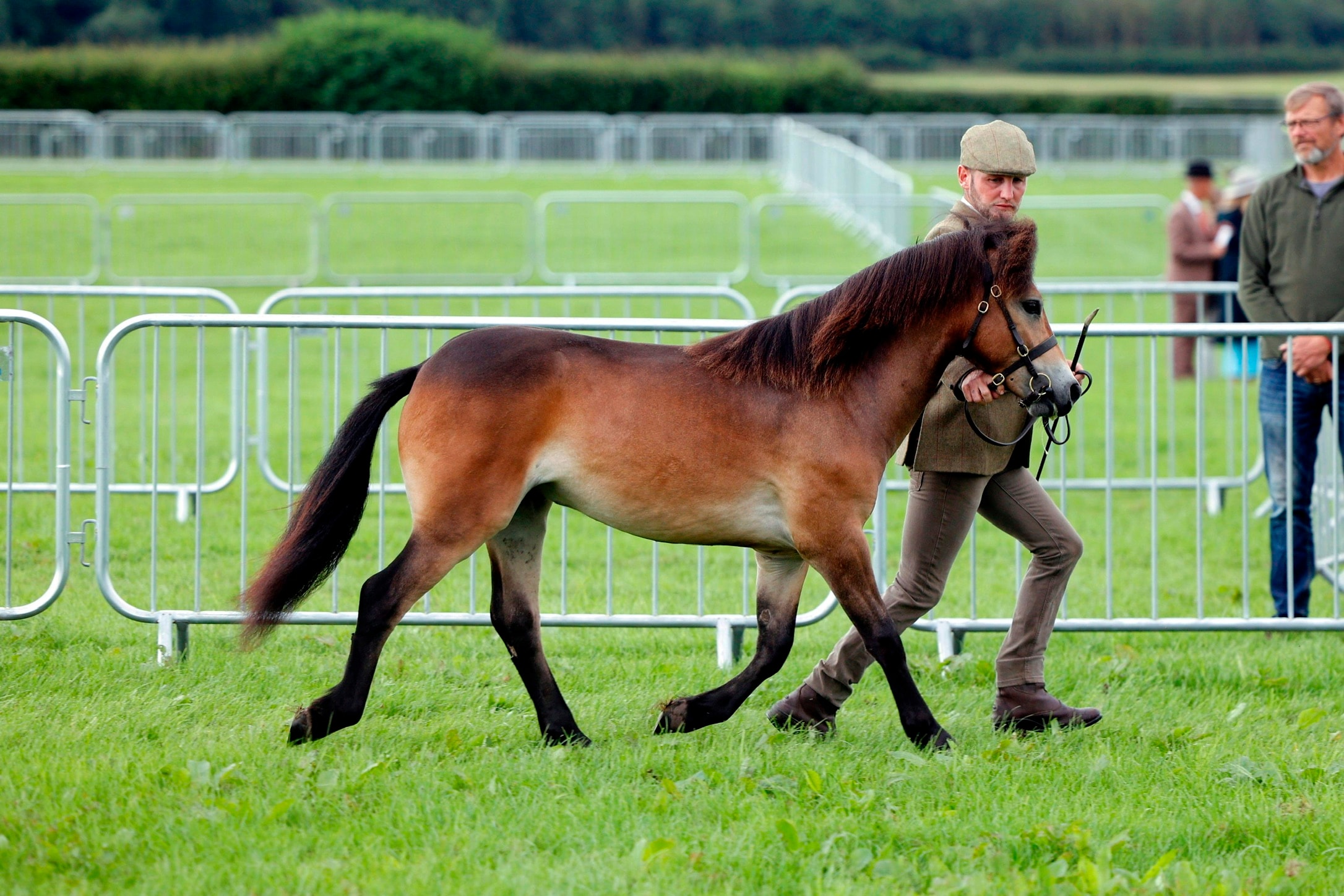 Darshill Logan at a show